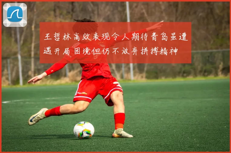 王哲林高效表现令人期待青岛虽遭遇开局困境但仍不放弃拼搏精神