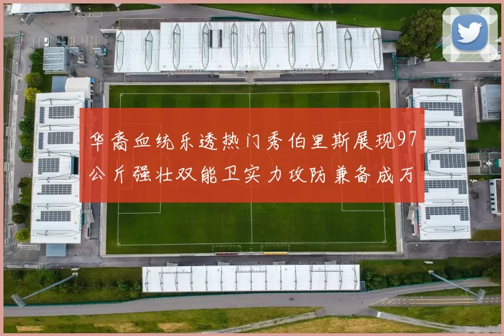华裔血统乐透热门秀伯里斯展现97公斤强壮双能卫实力攻防兼备成万金油之选